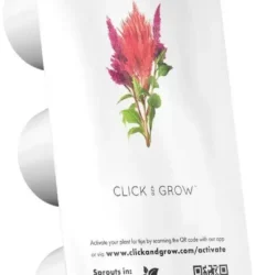 Семена Click and Grow Целозия
