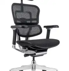 Ергономичен стол Antares ERGOHUMAN 2 LUXURY