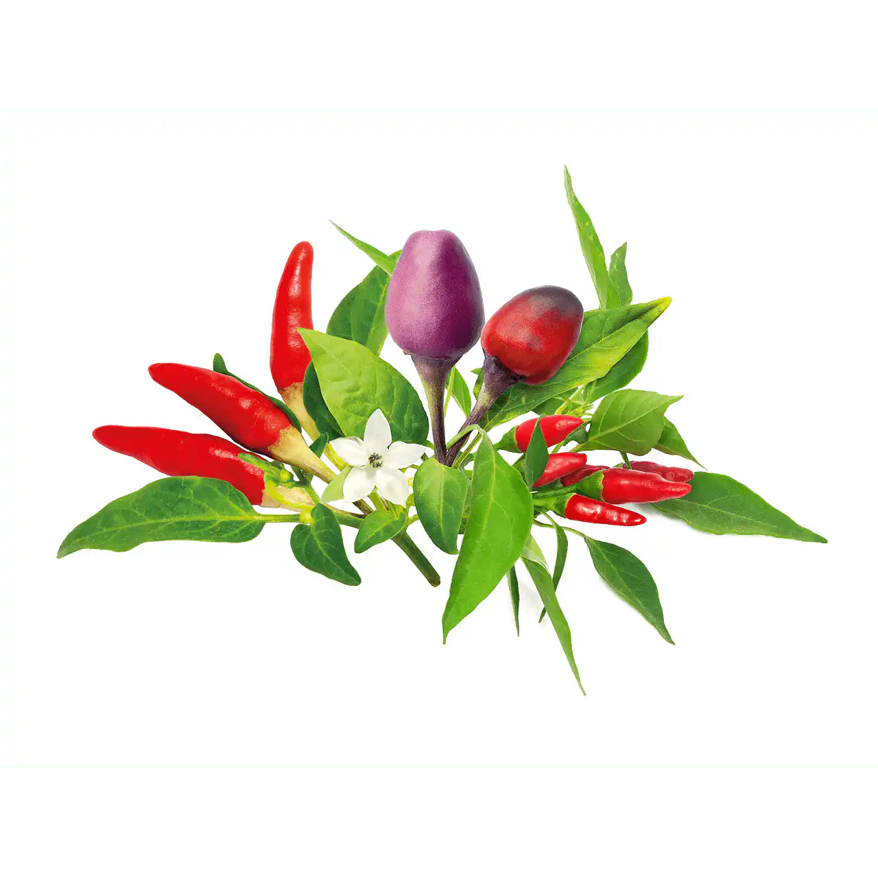 Семена Click and Grow Чили чушки микс