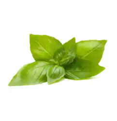 Семена Click and Grow Лимонов босилек