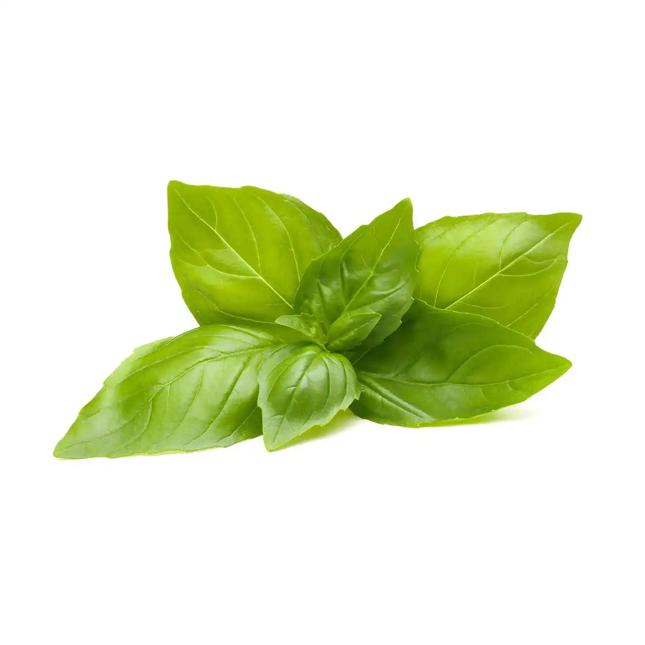 Семена Click and Grow Лимонов босилек