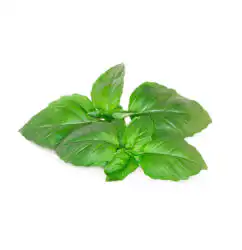 Семена Click and Grow Марсилски босилек