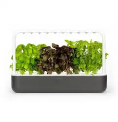 Смарт Саксия Click and Grow Smart Garden 9